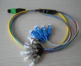 MPO Male-SC/FC Hybrid Fiber Optic Cable