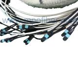 MPO Multi Trunk Cable Assembly